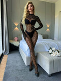 Sexy Lingerie Long-Sleeved One-Piece See-Through Fishnet Bodystockings