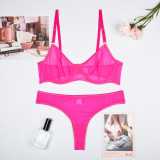 Women's Mesh See-Through Straps Two-Piece Sexy Lingerie Set