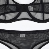 Women's Mesh See-Through Straps Two-Piece Sexy Lingerie Set