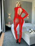 Sexy Lingerie Long-Sleeved One-Piece See-Through Fishnet Bodystockings