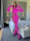 Sexy Lingerie Long-Sleeved One-Piece See-Through Fishnet Bodystockings