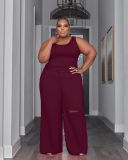 Plus Size Women Top and Ripped Wide Leg Pants Set of Two