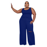 Plus Size Women Top and Ripped Wide Leg Pants Set of Two