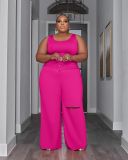 Plus Size Women Top and Ripped Wide Leg Pants Set of Two