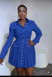 Women long sleeve shirt pleated skirt