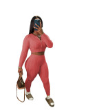 Women Solid knitting sweater and trousers two-piece set