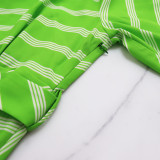 Striped Turndown Collar Casual Summer Women's  Pleated Slim Waist Long Dress