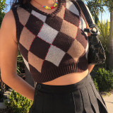 Women Solid Plaid Sleeveless V-Neck Sweater