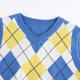 Women Solid Plaid Sleeveless V-Neck Sweater