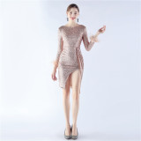 Women Ostrich Feather Long Sleeve Sequin Evening Dress