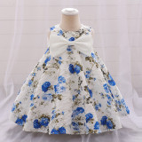 Girl printed princess dress