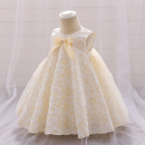 Girl flower girl princess dress