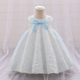 Girl flower girl princess dress