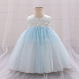 Girl flower girl princess dress