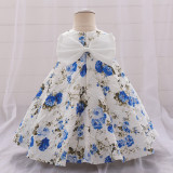 Girl printed princess dress
