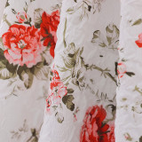 Girl printed princess dress