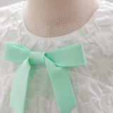 Girl flower girl princess dress