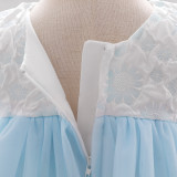 Girl flower girl princess dress