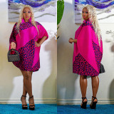 Fashion Women's Print Contrast Color Pullover Long Sleeve Loose Dress