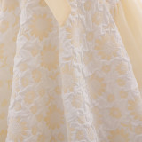 Girl flower girl princess dress