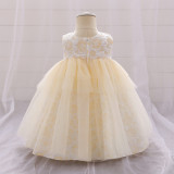 Girl flower girl princess dress