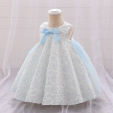 Girl flower girl princess dress