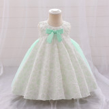 Girl flower girl princess dress