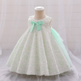 Girl flower girl princess dress
