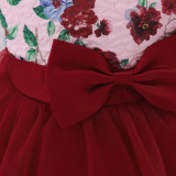 Girl Short Sleeve Princess Puff Mesh Skirt