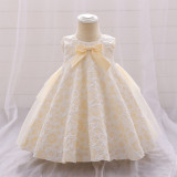 Girl flower girl princess dress