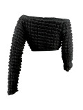 Cute Bubble Fabric Solid Off Shoulder Long Sleeve Crop Top