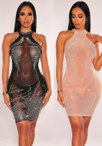 Women Solid mesh Beaded Halter Neck Dress Women Solid mesh Beaded Halter Neck Dress