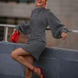 Spring And Autumn Fashionable Polka Dot Print Dress For Women