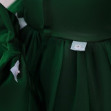 Girl Puff Sleeve Princess Dress