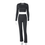Women Casual Round Neck Long Sleeve Top and Pants Two-piece Set