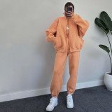 Women Autumn and Winter Solid Stand Collar Cardigan Long Sleeve Top and Casual Pants Two-piece Set