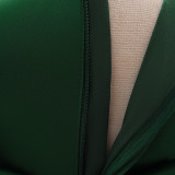 Girl Puff Sleeve Princess Dress