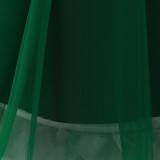 Girl Puff Sleeve Princess Dress