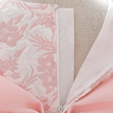 Girl puffy princess dress