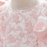 Girl puffy princess dress