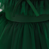 Girl Puff Sleeve Princess Dress