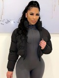 Fall and Winter Women Padding Crop Jacket