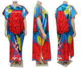 Plus Size Women's Printed Casual Loose Dress