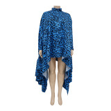 Fashion Plus Size Women's Autumn And Winter Leopard Print Loose Long Top