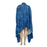Fashion Plus Size Women's Autumn And Winter Leopard Print Loose Long Top