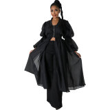 Women's Autumn Fashion Solid Color Long Sleeve Chic Dress