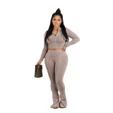 Sexy Solid Zipper Long Sleeve Crop Top Slim Pants Two Piece Club Suit