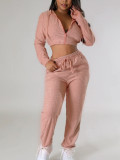 Solid Hooded Zipper Crop Two-Piece Pants Set