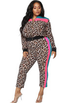 Autumn Slim Fit Set Stylish Leopard Color Block Zipper Two-Piece Pants Set Autumn Slim Fit Set Stylish Leopard Color Block Zipper Two-Piece Pants Set