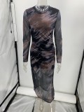 Autumn Mesh Sexy Printed Slim Long-Sleeved Dress